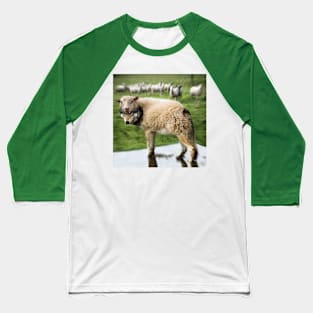 The Flock Is Safe Baseball T-Shirt